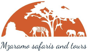 mzaramo_safari_and_tours.png